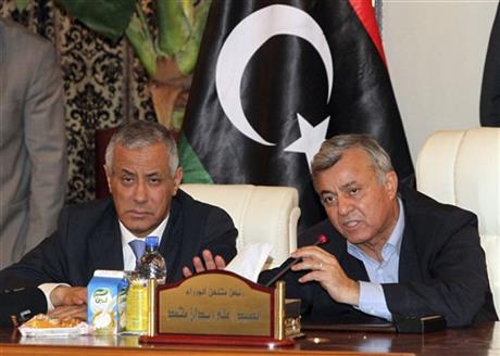 LIBYA PREMIER BRIEFLY ABDUCTED IN SIGN OF CHAOS
