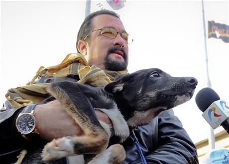 Steven Seagal ‘adopts’ stray dog in Romania
