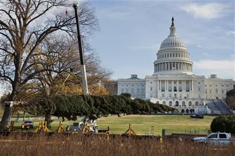 Capitol Christmas tree arrives in Washington, DC