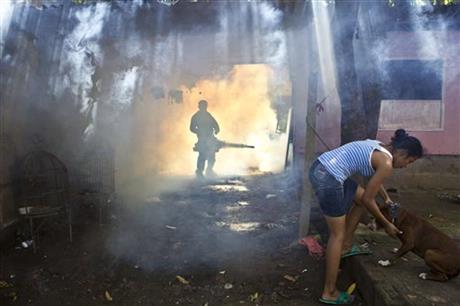 Nicaragua mobilizes fumigation against dengue