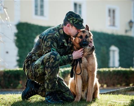 CZECHS HONOR ARMY DOG FOR AFGHANISTAN SERVICE