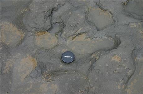 SCIENTISTS FIND 800,000-YEAR-OLD FOOTPRINTS IN UK