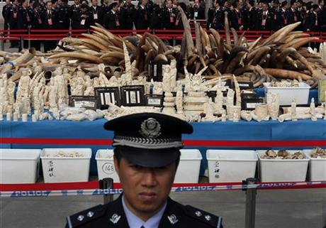 Ivory prices soar in China on new demand: report