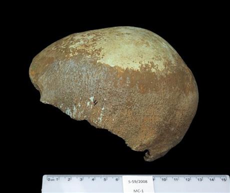 Ancient Israeli skull may document migration from Africa