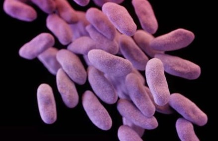 2 dead, over 170 potentially exposed in ‘superbug’ outbreak