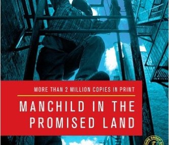 CMG Book #2 Of The Month: Manchild in the Promised Land